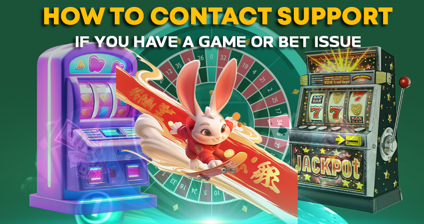How to Contact Support If You Have a Game or Bet Issue
